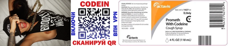 ссылка на мегу вход  Киселёвск  Кодеиновый сироп Lean напиток Lean (лин) 