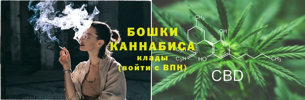 крисы Братск