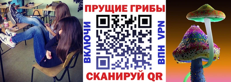 Галлюциногенные грибы Psilocybe  Киселёвск 